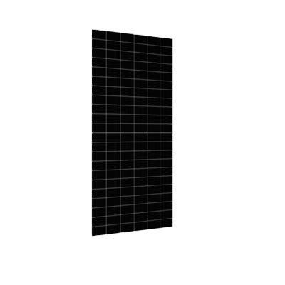 PANEL SOLAR RISEN DE 610W N TYPE BIFACIAL CL, RSM132-11-61BNDG